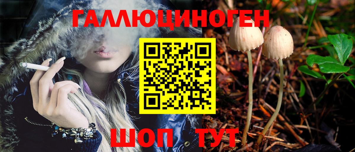 Галлюциногенные грибы MAGIC MUSHROOMS  Псилоцибиновые грибы мицелий  Вход с VPN  Волгоград 
