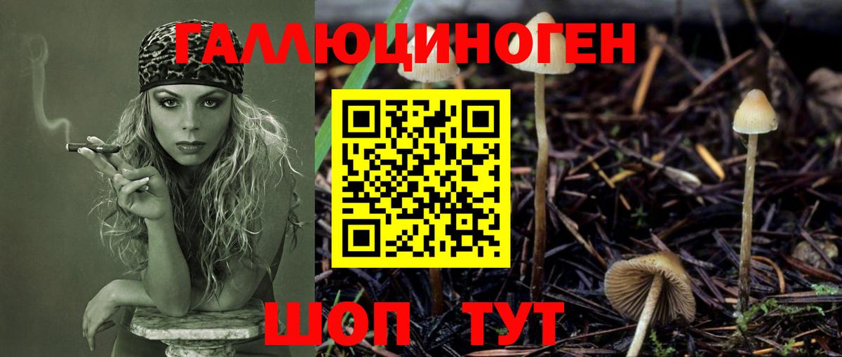 Псилоцибиновые грибы Cubensis Волгоград